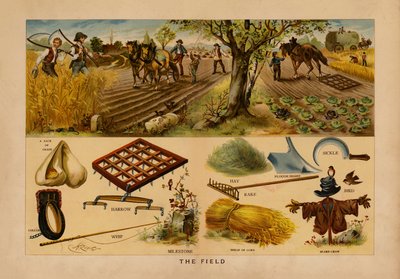 Das Feld von English School