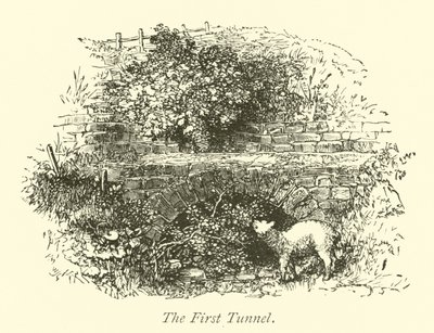 Der erste Tunnel von English School