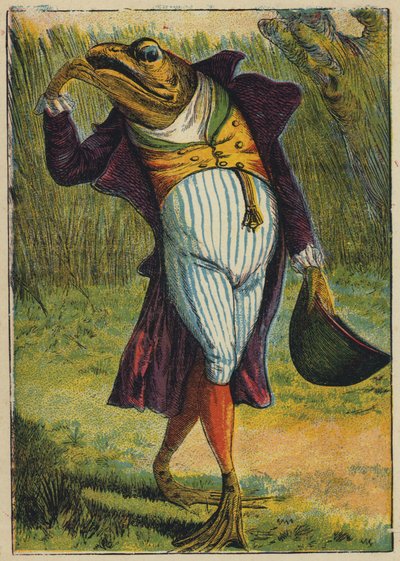 Frøen i fuld kjole (farvelitografi) af English School