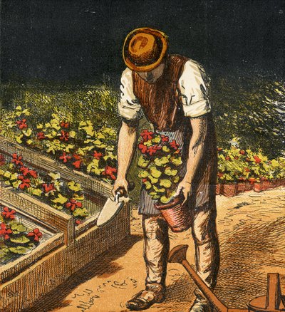 Gartneren, 1867 af English School