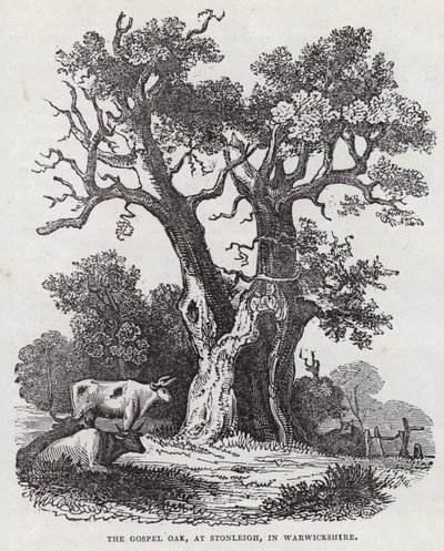 The Gospel Oak, Stonleigh, Warwickshire (gravering) af English School