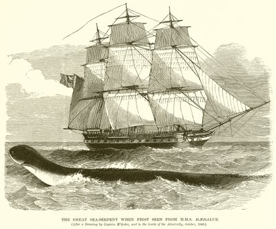 Den Store Havslang, da den først blev set fra H.M.S. Daedalus af English School