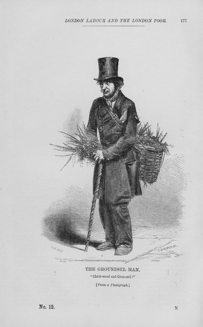 The Groundsel Man (gravering) af English School