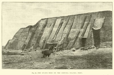 The Guano Beds on the Chincha Islands, Peru  af English School