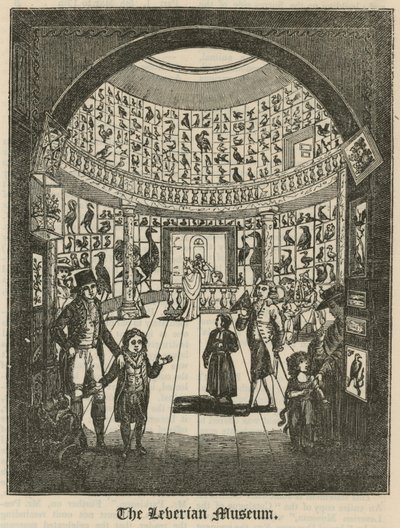 Leverian-museet af English School