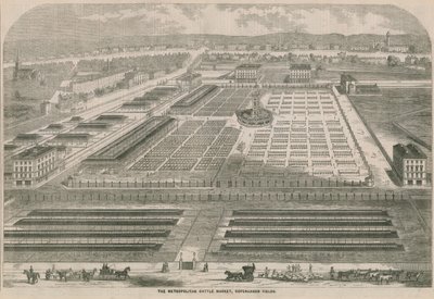 The Metropolitan Cattle Market, Copenhagen Fields, London af English School