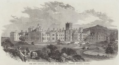 The New Asylum for Idiots, Earlswood Common, Redhill, Surrey (gravering) af English School