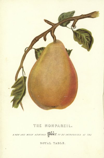 The Nonpareil af English School