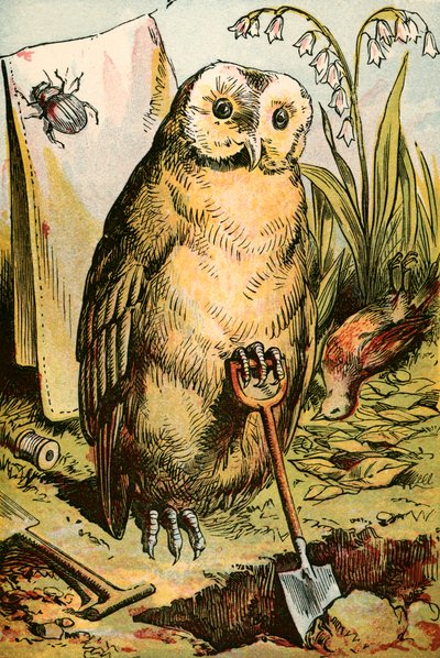 Uglen, Billen og Hane Robin af English School