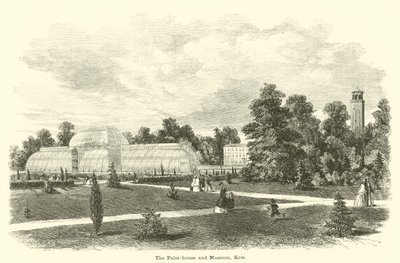 Palmehuset og museet, Kew af English School