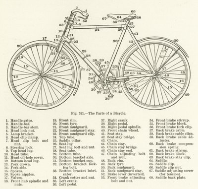 Delene af en cykel af English School