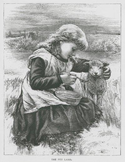 Kæledyrslammet (gravering) af English School