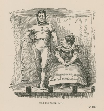 Damen med svineansigt af English School