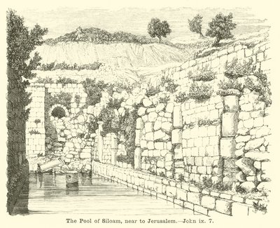 Siloam-dammen, nær Jerusalem, Johannes, ix, 7 af English School