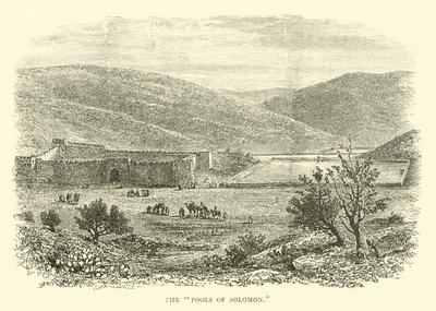 Salomons damme af English School