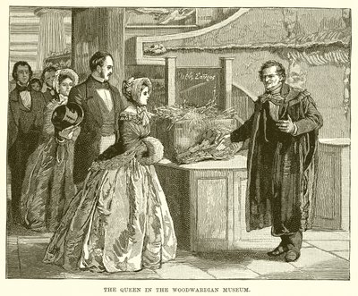 Dronningen i Woodwardian Museum af English School