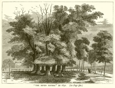 De syv søstre i 1830 af English School