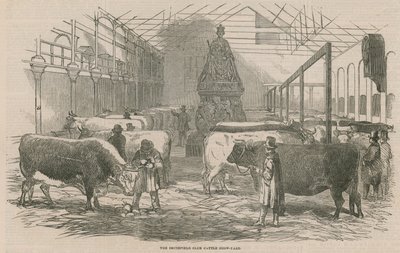 Smithfield Club Cattle Show Yard af English School