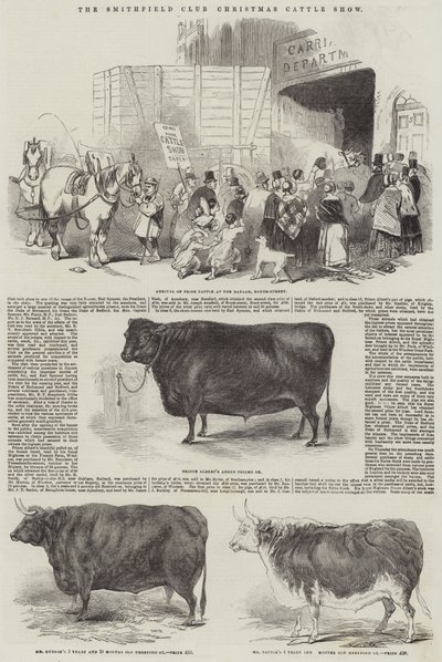 The Smithfield Club Christmas Cattle Show (gravering) af English School