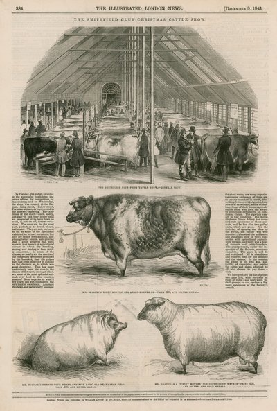 Smithfield Club Christmas Cattle Show af English School