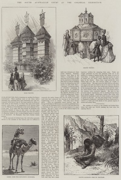 South Australian Court ved Colonial Exhibition (gravering) af English School