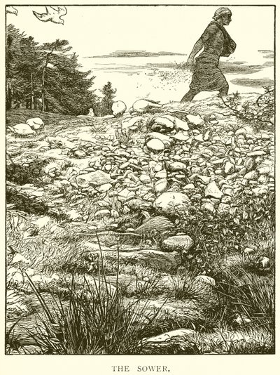 Såmanden af English School