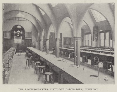 Thompson-Yates Histology Laboratory, Liverpool (gravering) af English School