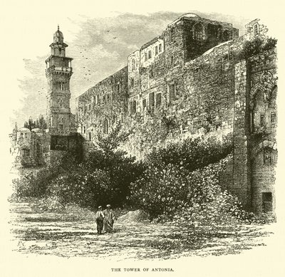 Tårnet af Antonia af English School