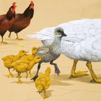 Das hässliche Entlein von English School