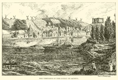 Vinmarkerne i Coteau de Saumur (kobberstik) af English School