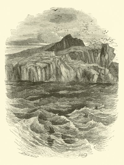 Bølgernes stemme af English School