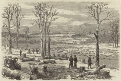 Krigen i Amerika af English School