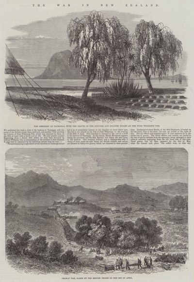 The War in New Zealand (gravering) af English School