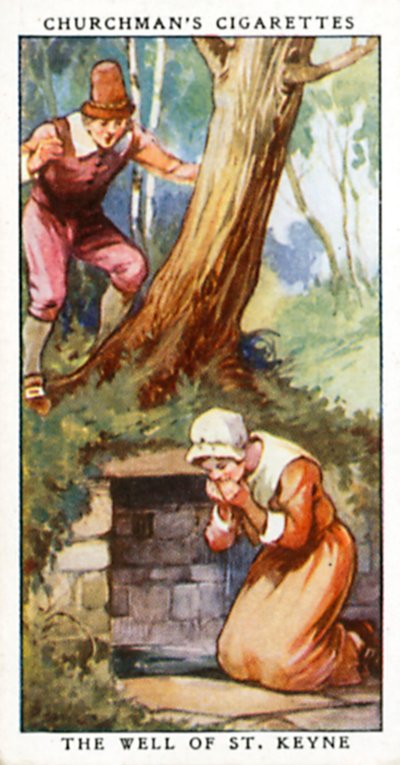 The Well of St Keyne (farvelitografi) af English School
