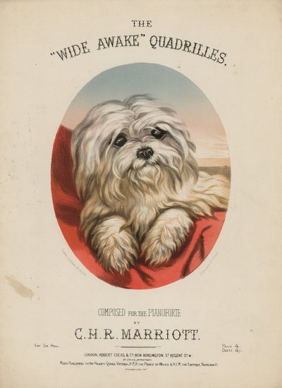 The Wide Awake Quadrilles af English School