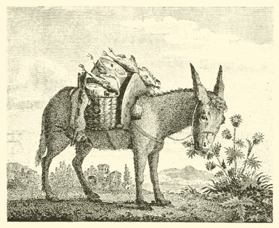 Æslet, der spiser tidsler (gravering) af English School