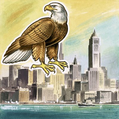 Den skaldede ørn, emblem for USA af English School