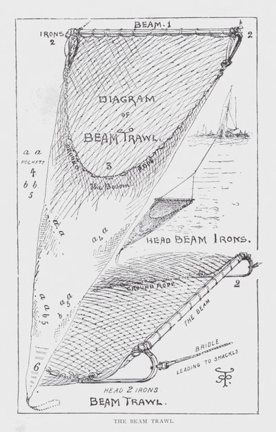 Der Balkentrawl (Lithographie) von English School
