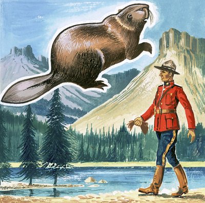 Bæveren, Canadas emblem af English School