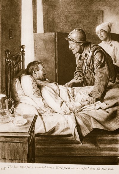Den bedste tonic til en såret soldat: Ord fra slagmarken om, at alt går godt, 1914-19 af English School