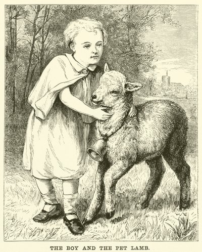 Drengen og kæledyrslammet (gravering) af English School