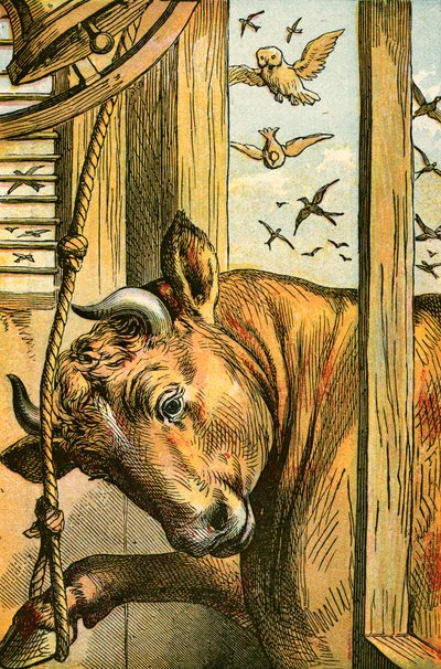 Tyren ringer med klokken af English School