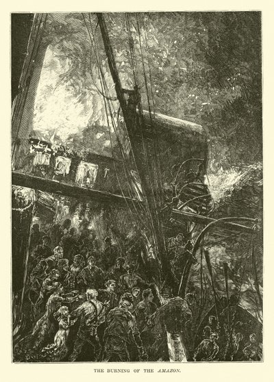 Afbrændingen af Amazonas af English School