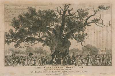 Die berühmte Große Eiche, die über 1800 Jahre alt sein soll von English School