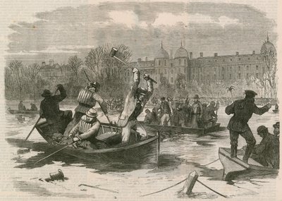 Katastrofen på isen ved Regents Park; Trækker søen for de døde af English School
