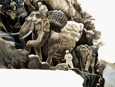 Elephant Bills elefantvandring af English School