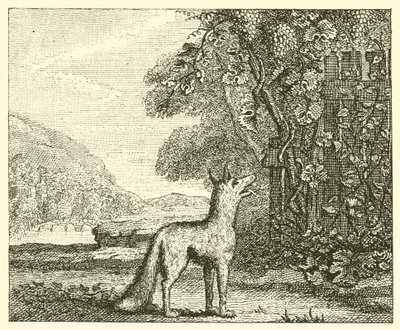 Ræven og druerne (gravering) af English School