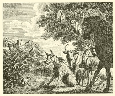 Frøen og ræven (kobberstik) af English School