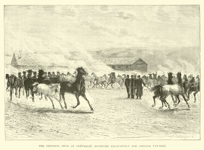 Der kaiserliche Hengst in Prevallie, ausschließlich für die Kosakenkavallerie reserviert von English School