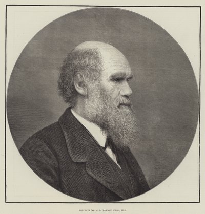 Afdøde hr. CR Darwin, FRS, LLD af English School